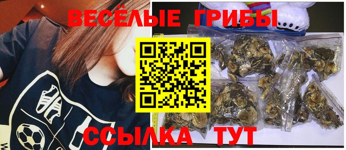 Псилоцибиновые грибы Cubensis  Вход с VPN  где купить наркоту  Псилоцибиновые грибы мицелий  Сибай 